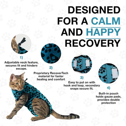 Comfortable fit of BellyGuard suit on a kitten