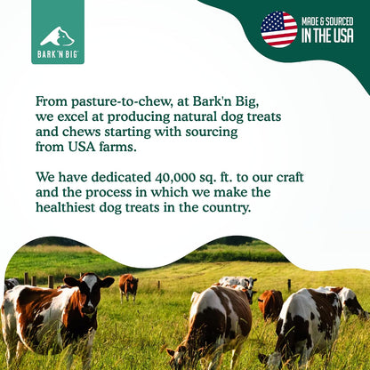 Shrink-wrapped natural beef bone treat for large breeds