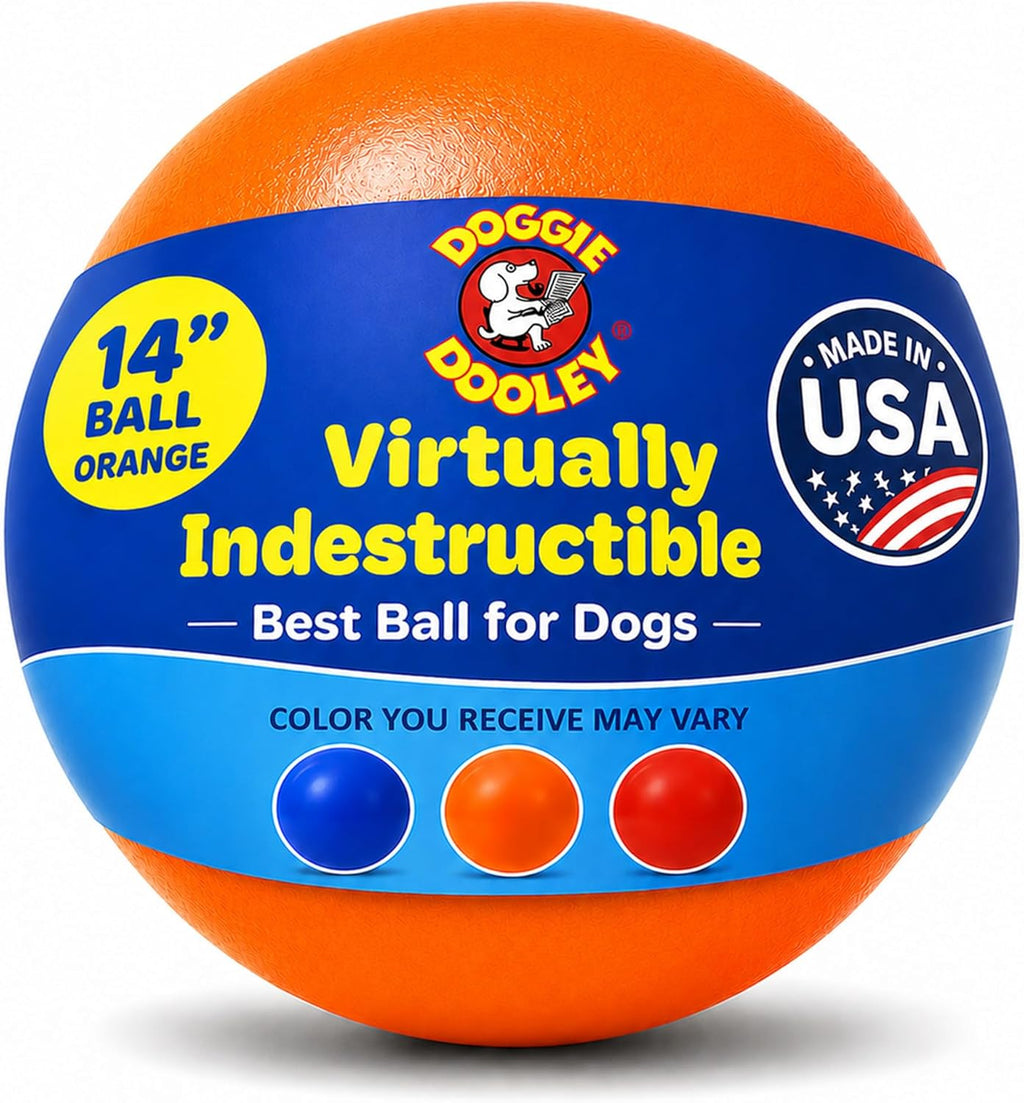 Doggie Dooley Virtually Indestructible Dog Ball - 10 Inch Hard Plastic Interactive Dog Toy for Large Breeds Over 45+ lbs - Built for Herding & Push Play - Floats in Water, Made in USA - Red - Image 10