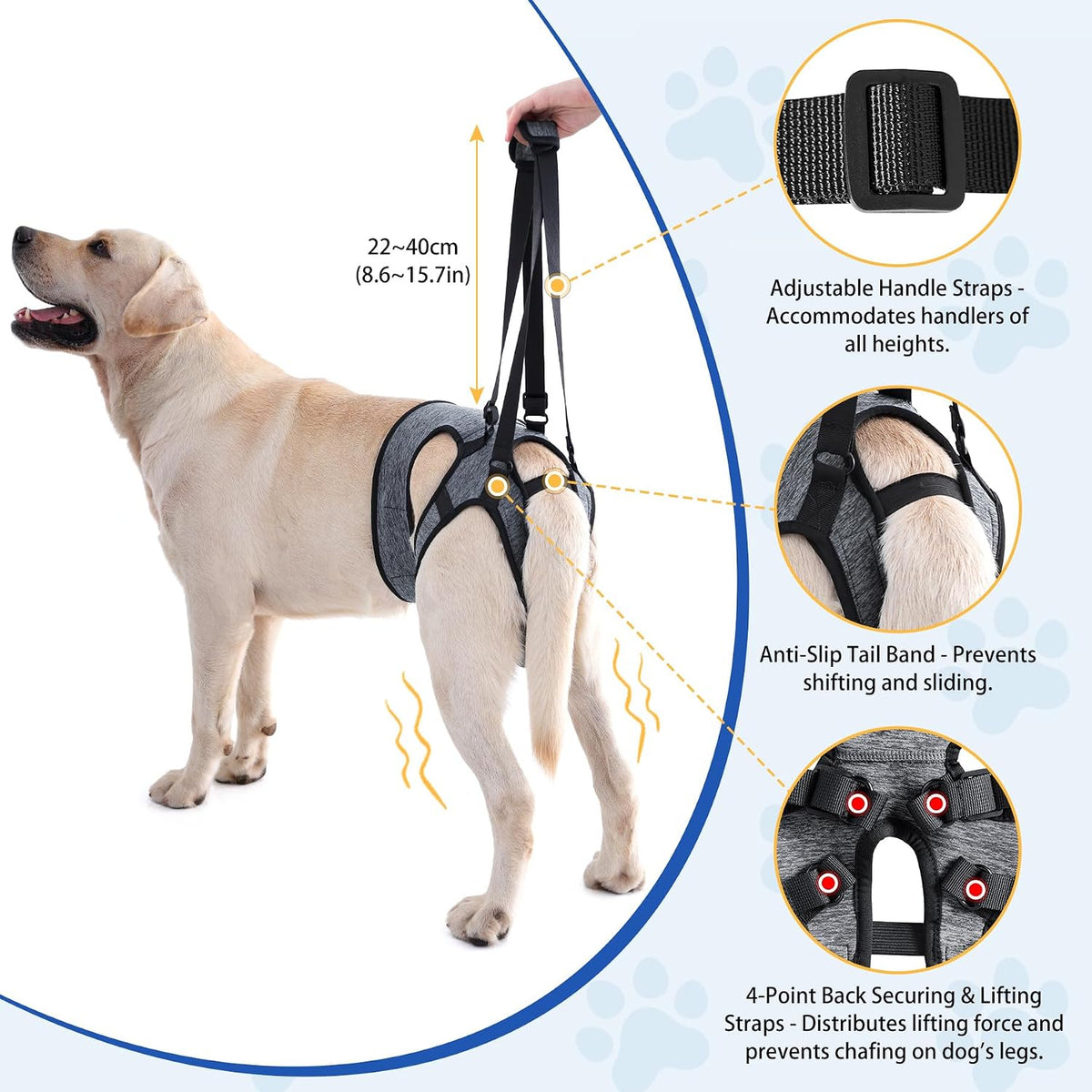 Senior dog wearing grey hind leg support harness