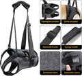 Heywean large dog rehabilitation harness showing rear leg openings