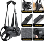 Heywean large dog rehabilitation harness showing rear leg openings
