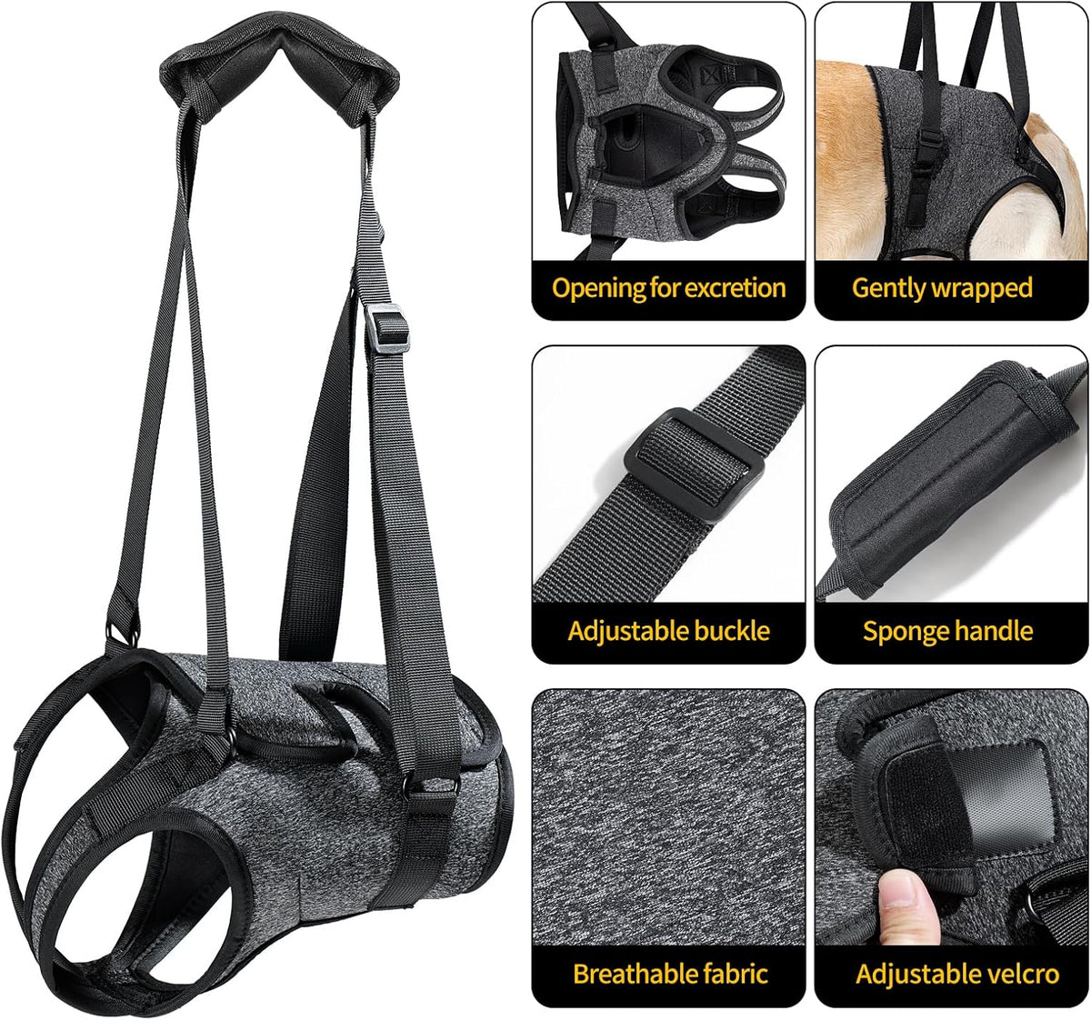 Heywean large dog rehabilitation harness showing rear leg openings