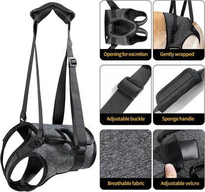 Heywean large dog rehabilitation harness showing rear leg openings