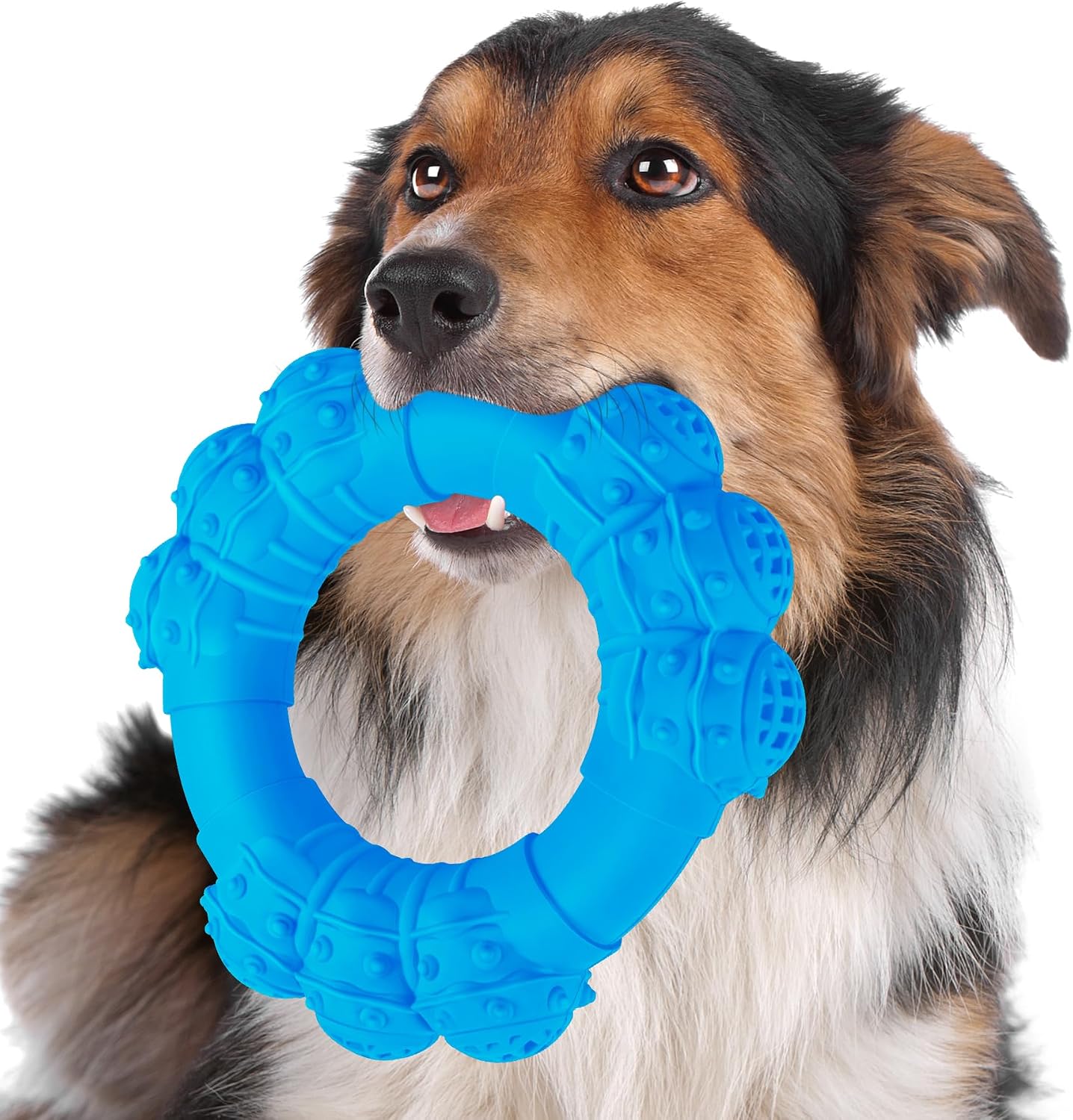 Indestructible Dog Chews - Super Duty Chew Toys for Aggressive Dogs, Puppy Teething Relief & Interactive Play - Image 11