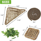 PINVNBY reptile jungle vines and artificial leaves set