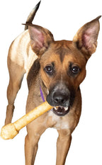 Fieldcrest Farms Nothin' to Hide Ultra Knotted Bones - Collagen-Based Rawhide Alternative Dog Chews, Beef Flavor, Highly Digestible for Aggressive Chewers up to 35 lbs, 9-Inch, 2 Pack - Image 12