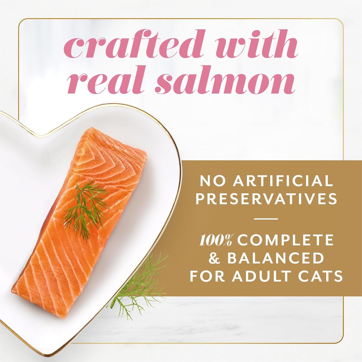 Purina Fancy Feast Gems wet cat food gravy detail