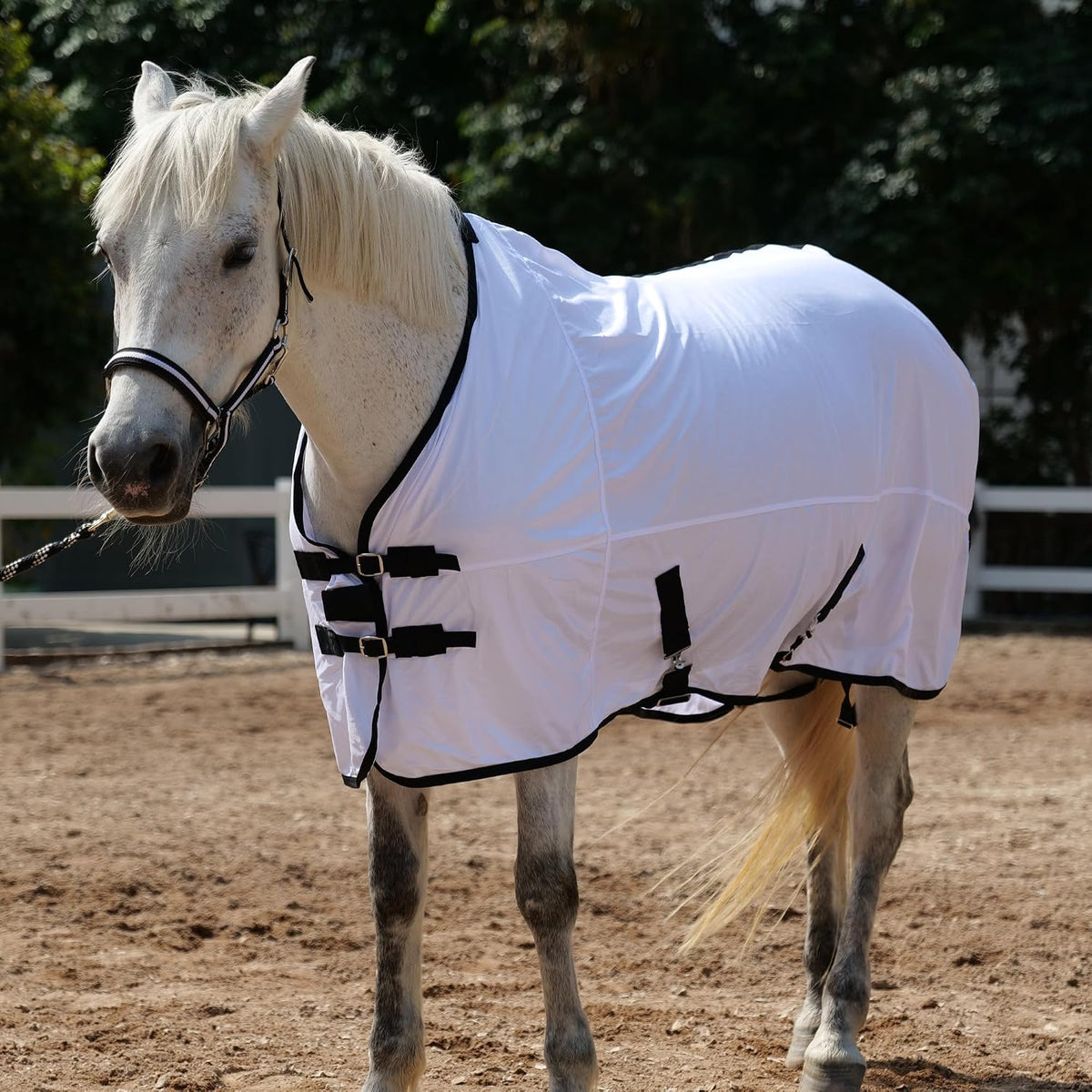 Tarfepa equine summer sheet showing breathable mesh texture