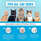 Flea comb and tick removal tools included in kit