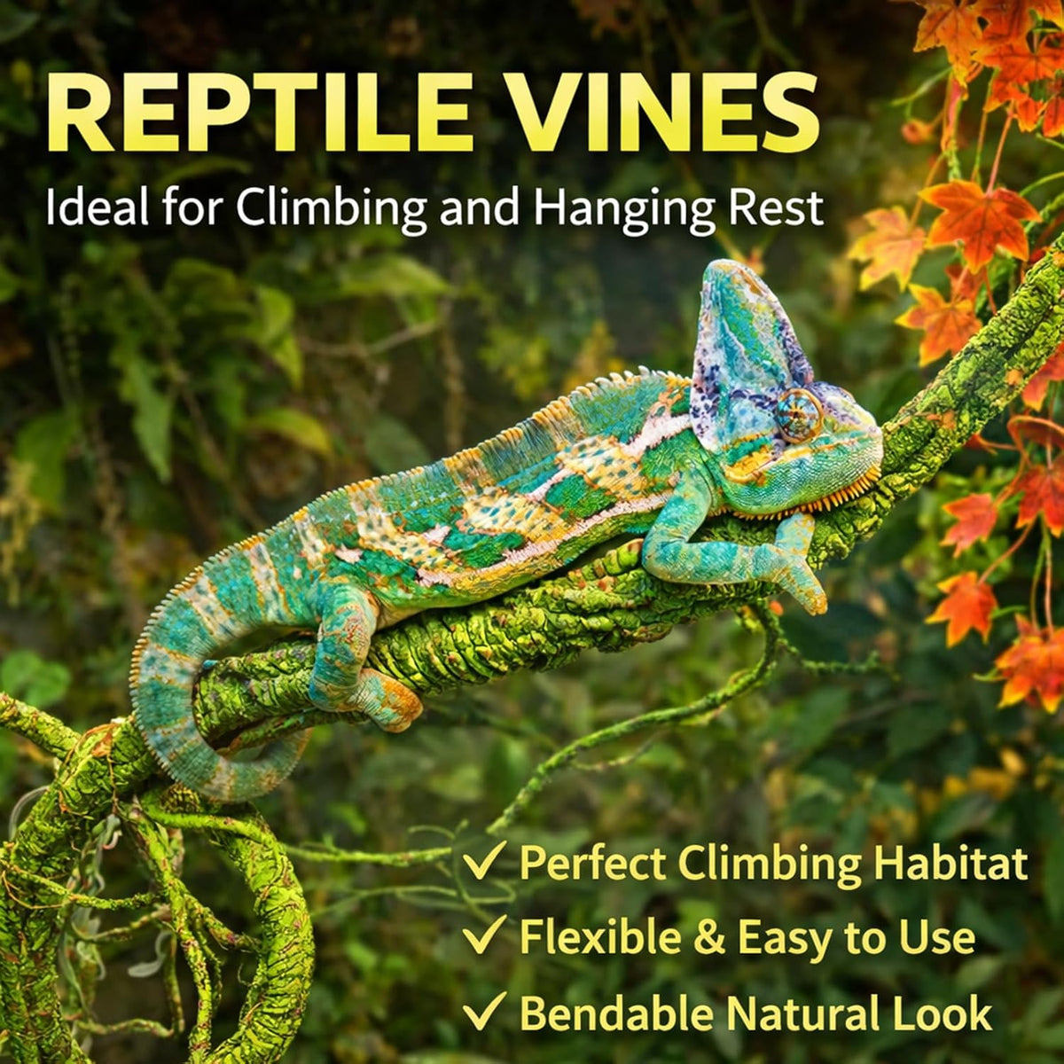 Suction cup mounting mechanism for reptile tank decor