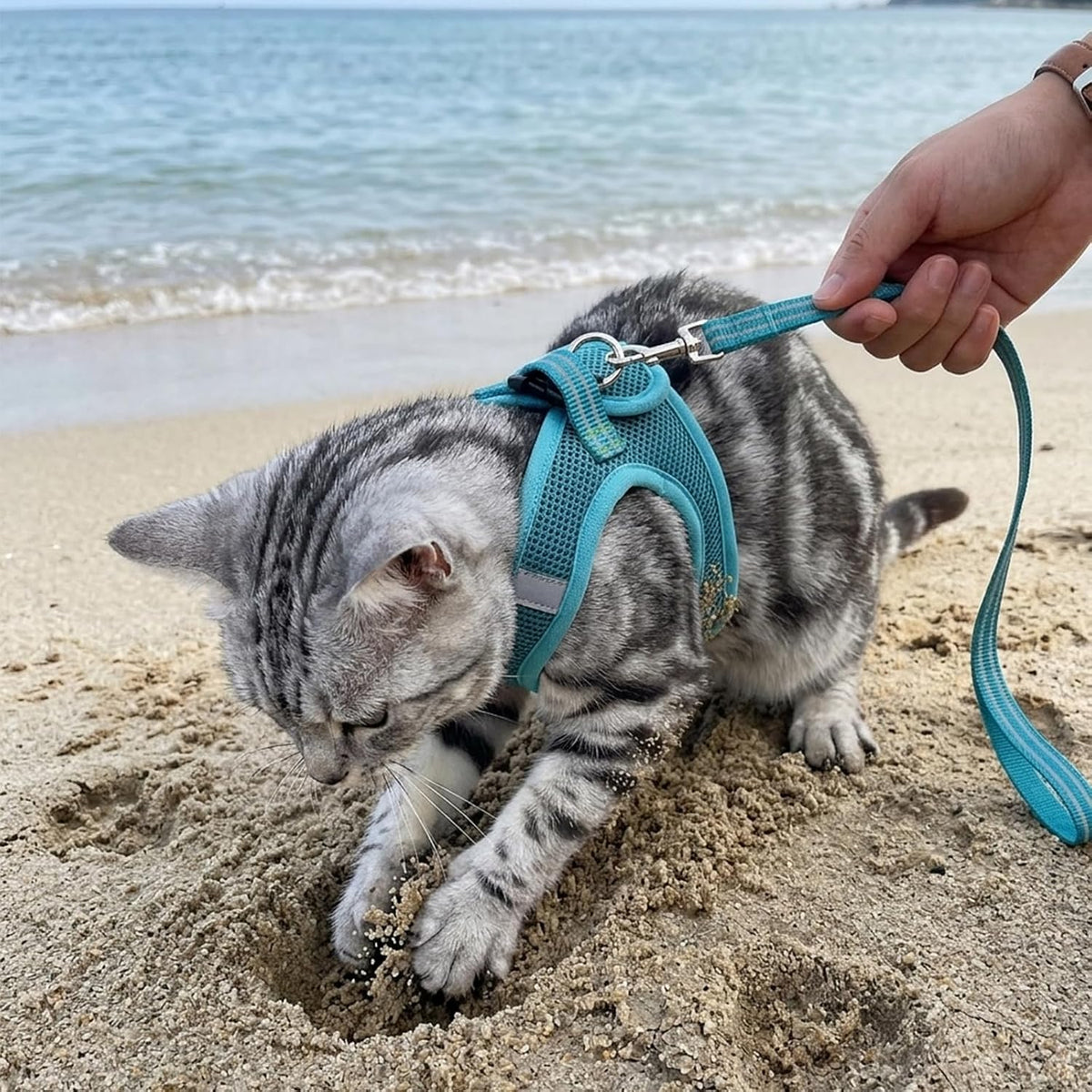 Heywean Cat Harness And Leash close-up of dual steel D-rings