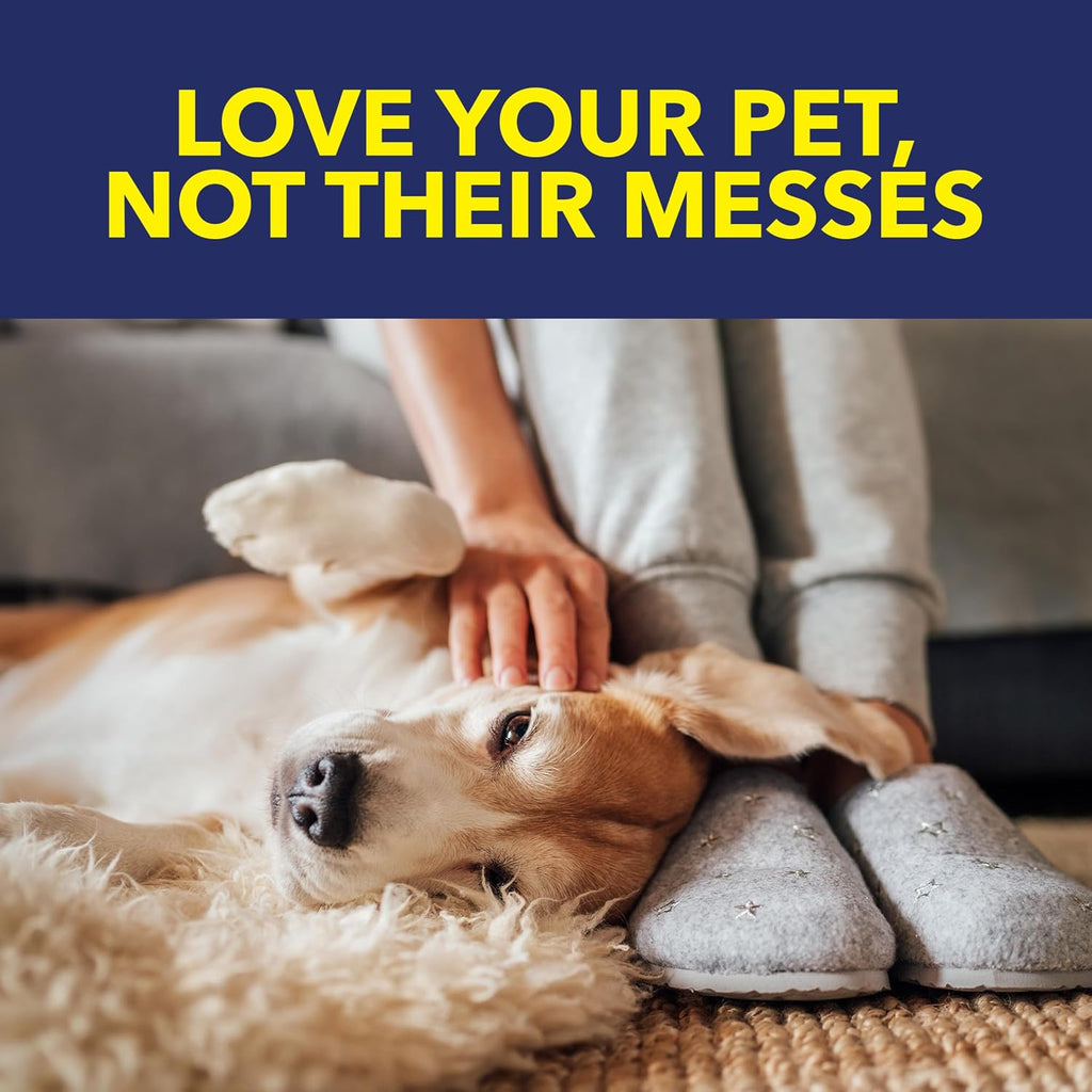 OxiClean Carpet and Rug Cleaner, Pet Stain and Odor Remover Spray, 24 fl oz - Image 9
