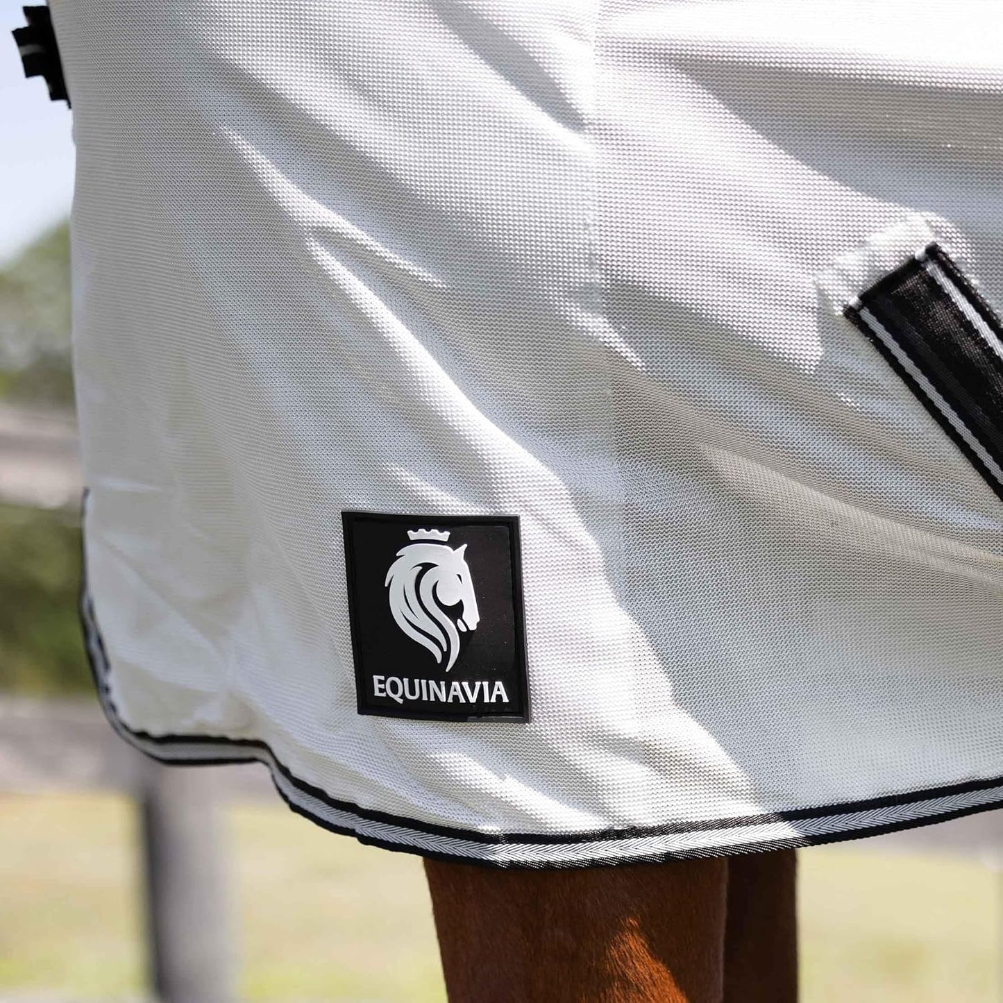 Side profile view of a horse wearing the seventy-eight inch Equinavia UV protection fly sheet.