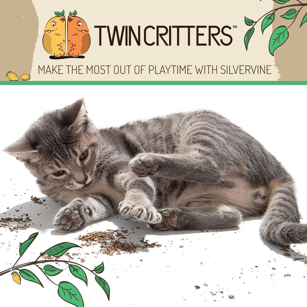 Kitten sniffing natural silvervine granules on a surface
