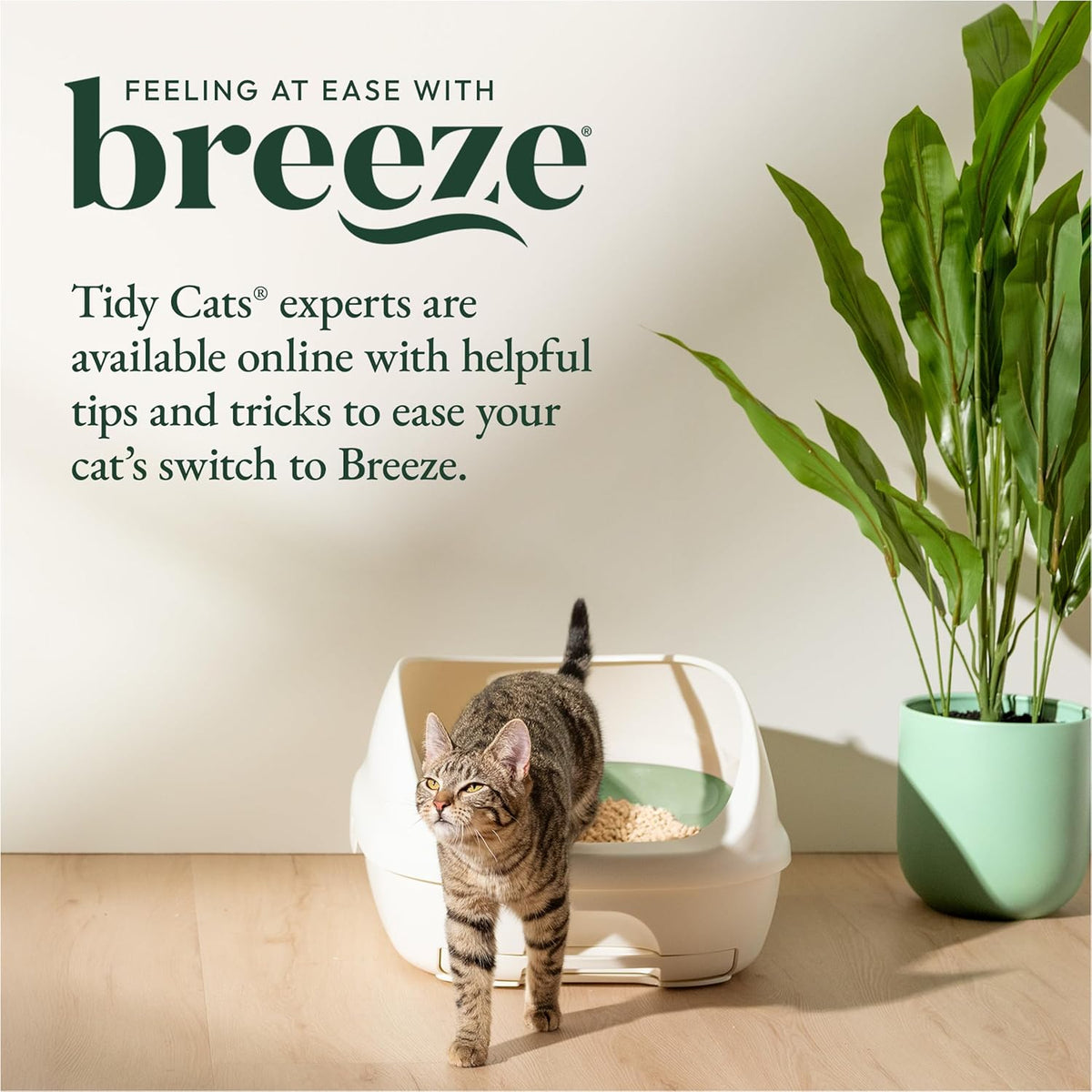 Assembled Purina Tidy Cats Breeze Litter System in a room setting
