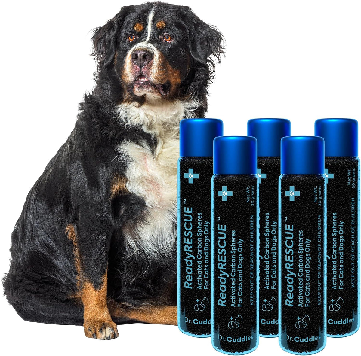 ReadyRESCUE Activated Charcoal microspheres for Dogs and Cats - Veterinary-Grade Pet First Aid Kit Essential - Fast Acting Emergency Poison Binder - Safe and Travel Ready - 30 g Pack of 1 - Image 11
