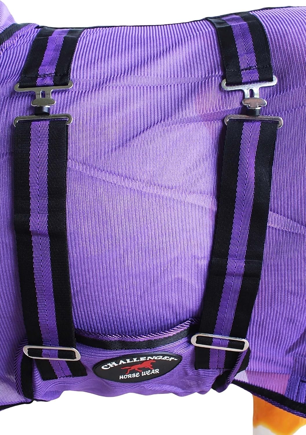 Close up view of rust free stainless steel hardware on Challenger miniature donkey sheet