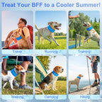 Two pack instant chill pet cooling collar hook and loop closure