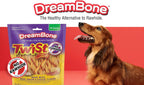 Dog enjoying a healthy DreamBone rawhide-free chew