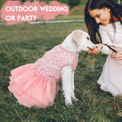 ASENKU pet wedding dress packaging with premium accessories included