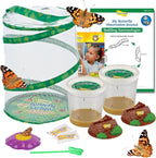 Insect Lore Butterfly Garden Kit front view showing the green mesh enclosure and caterpillar cups.