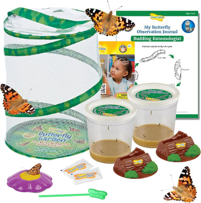 Insect Lore Butterfly Garden kit front view showing green pop up mesh habitat and packaging