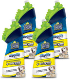 Instructional view of Bissell stain remover on pet mess
