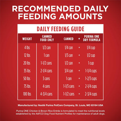 Purina ONE natural wet dog food premium imported chicken and rice recipe