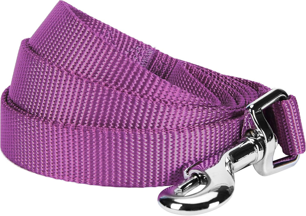 Blueberry Pet Essentials Marina Blue Dog Leash for Large - 4' * 1" Dogs | Heavy Duty Nylon Lead | Lightweight Puppy & Cat Leash for Walking & Training - Image 15