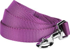 Blueberry Pet Essentials Marina Blue Dog Leash for Large - 4' * 1" Dogs | Heavy Duty Nylon Lead | Lightweight Puppy & Cat Leash for Walking & Training - Image 15