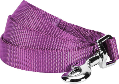 Blueberry Pet Essentials Marina Blue Dog Leash for Large - 4' * 1" Dogs | Heavy Duty Nylon Lead | Lightweight Puppy & Cat Leash for Walking & Training - Image 15