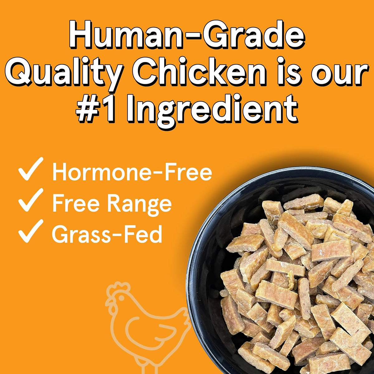 Real Meat Company premium air dried dog food chicken recipe packaging