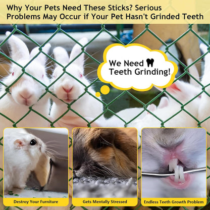 Guinea pig and chinchilla molar toys close up texture detail