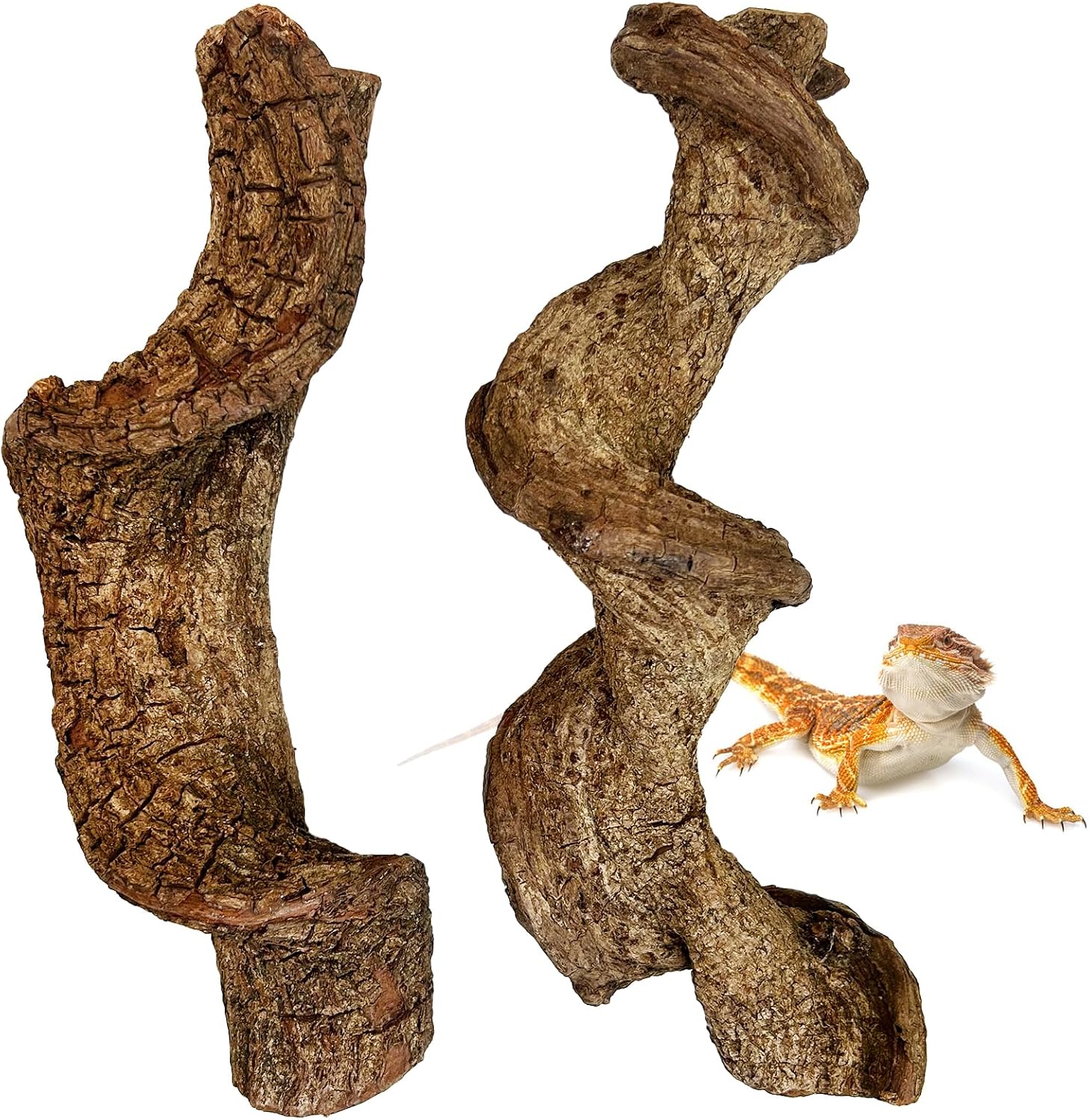 Reptile Branches for Climbing Natural Snake Climb Branch Extra Large Wood Forest Tree Trunk Decor Lizard Habitat Terrarium Decorations for Bearded Dragon Geckos Chameleon Frog - Image 11