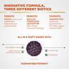 Align Probiotic 3-In-1 Biotic Gummies triple action benefits overview