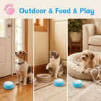 Durable engineering plastic pet speech training kit with instructions manual