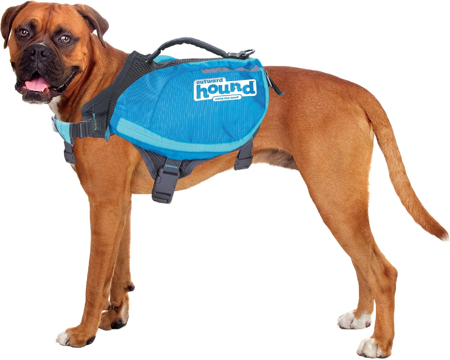 Outward Hound DayPak blue dog saddleback backpack front view on a large breed dog.