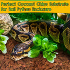 Natural organic coconut husk chips utilized for indoor plant potting