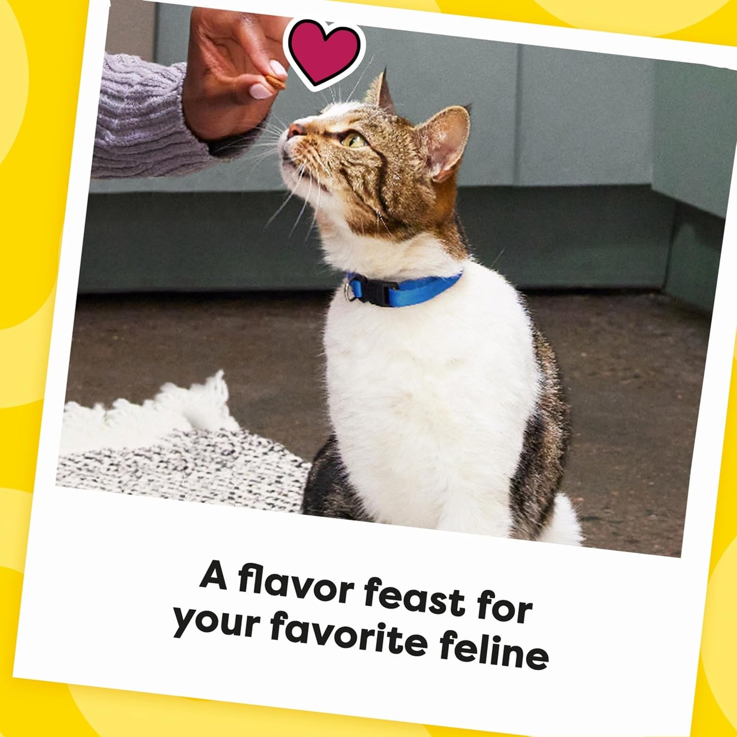 Temptations Cat Treats, Classic Crunchy and Soft Cat Treats, Catnip Fever Flavor, Catnip Treats, 16 oz. Tub - Image 10