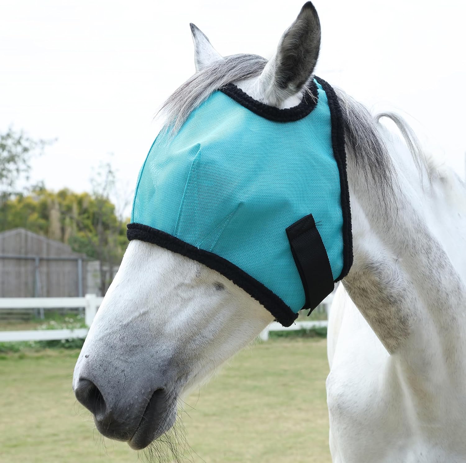 Leaforest Horse Fly Mask Lake Blue front view