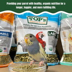 Bowl filled with TOP's cold-pressed parrot food pellets.