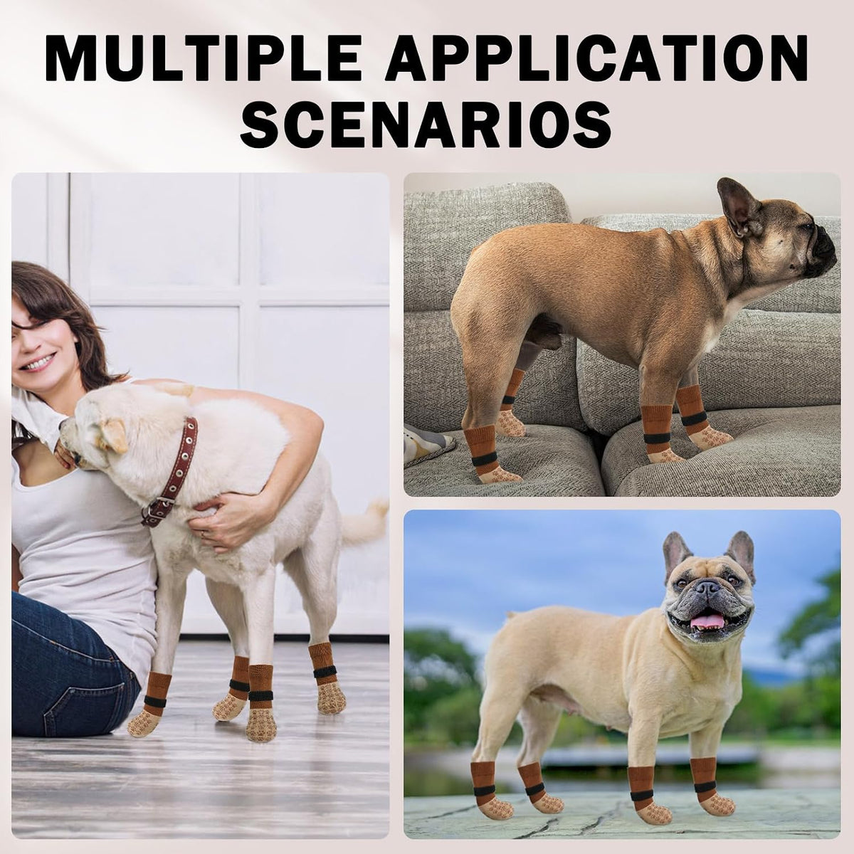 Dog wearing Scenereal protective socks on hardwood floor