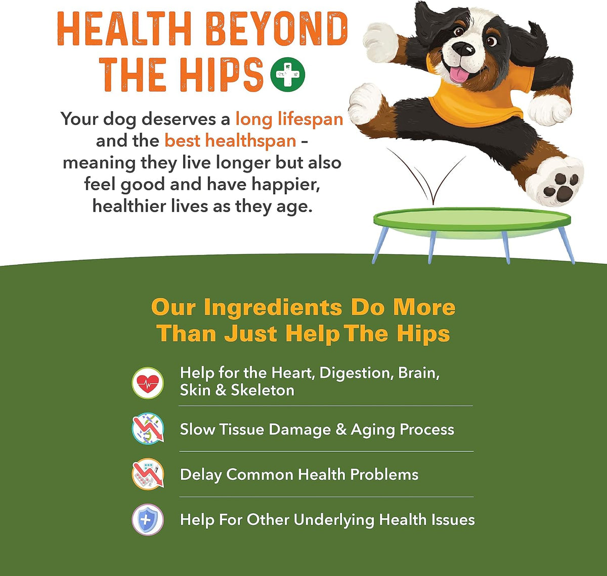 Bernie's Best daily joint chews for senior dog mobility and pain relief