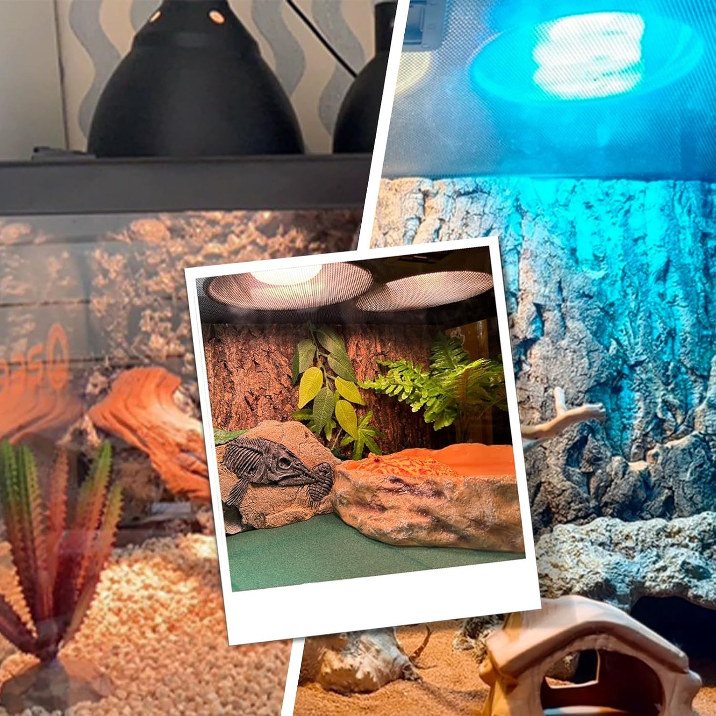 BOEESPAT basking light fixture positioning over a reptile terrarium tank setup.