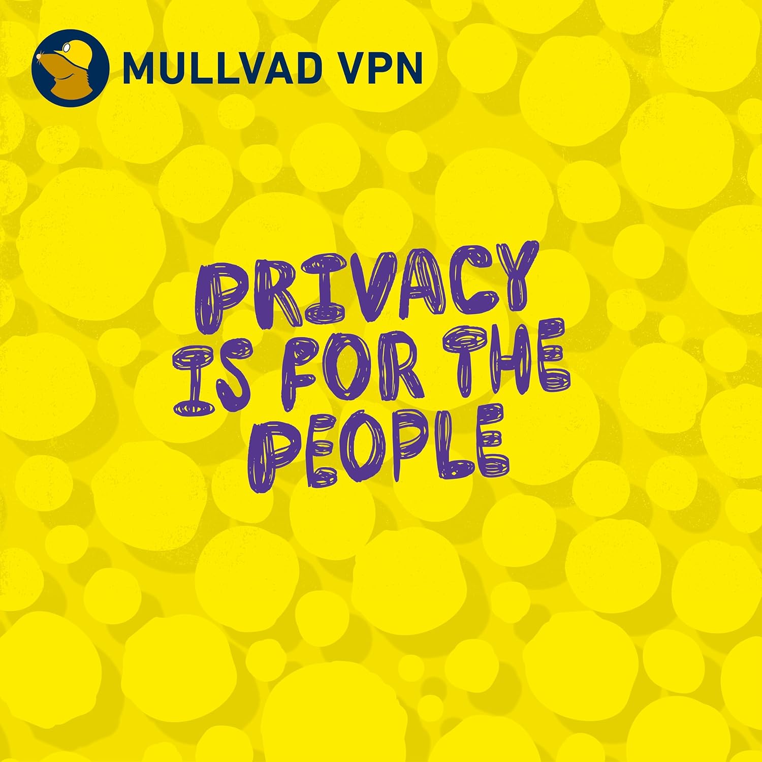 Imported Mullvad digital privacy protection software card back view.