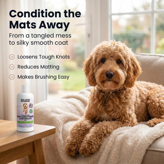 We Love Doodles two in one lotion treatment for dog allergies and itching