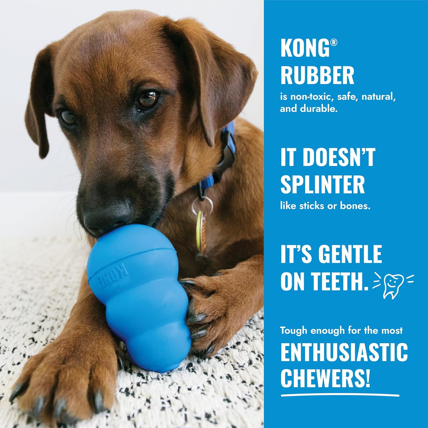 KONG Puppy Goodie Bone durable blue rubber teething chew bone for dogs