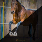 Kavallerie overreach prevention boots for horses showing water resistant material texture.