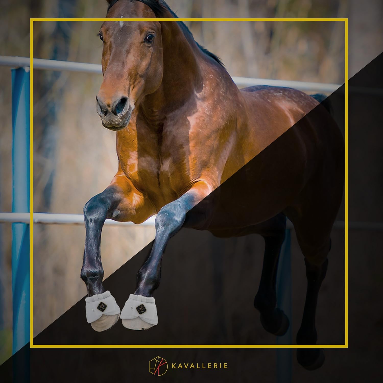 Kavallerie overreach prevention boots for horses showing water resistant material texture.